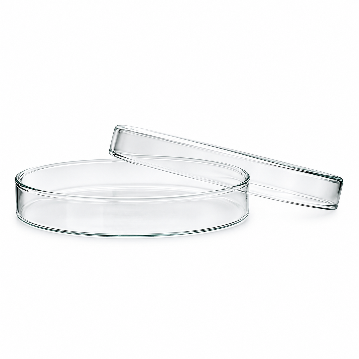 RG® Borosilicate Petri Dish 100 mm — Pack of 1