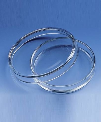 RG® Borosilicate Petri Dish 150 mm