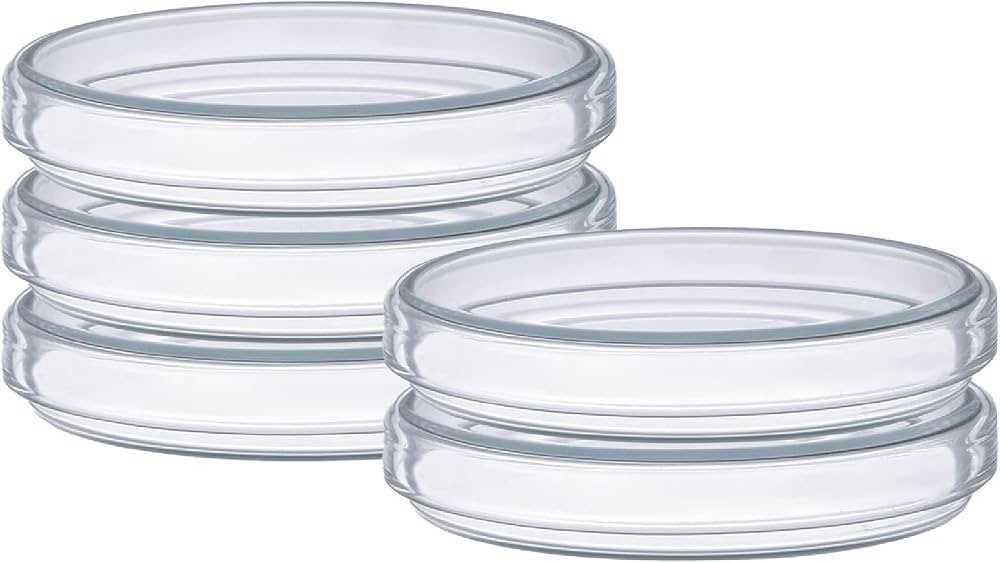 RG® High-Quality Borosilicate Petri Dishes 150 mm — Pack of 5 by Randhawa Global